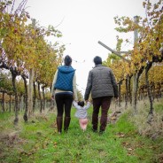 Viajando com o bebê, lugares amigáveis 